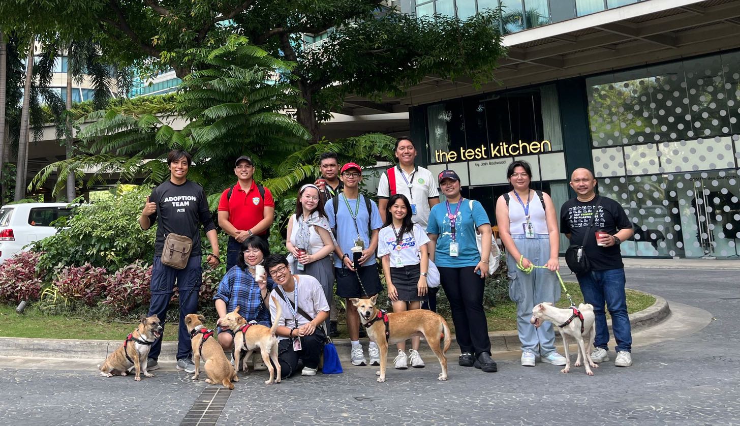 Wag and Wander: A Dog Walking Project